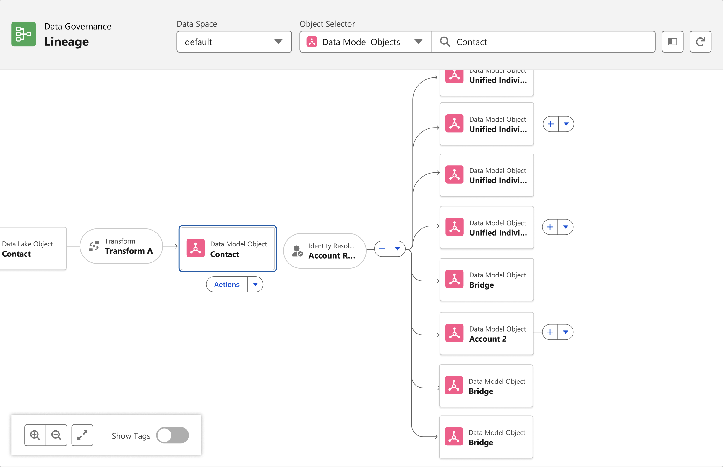Lineage graph view