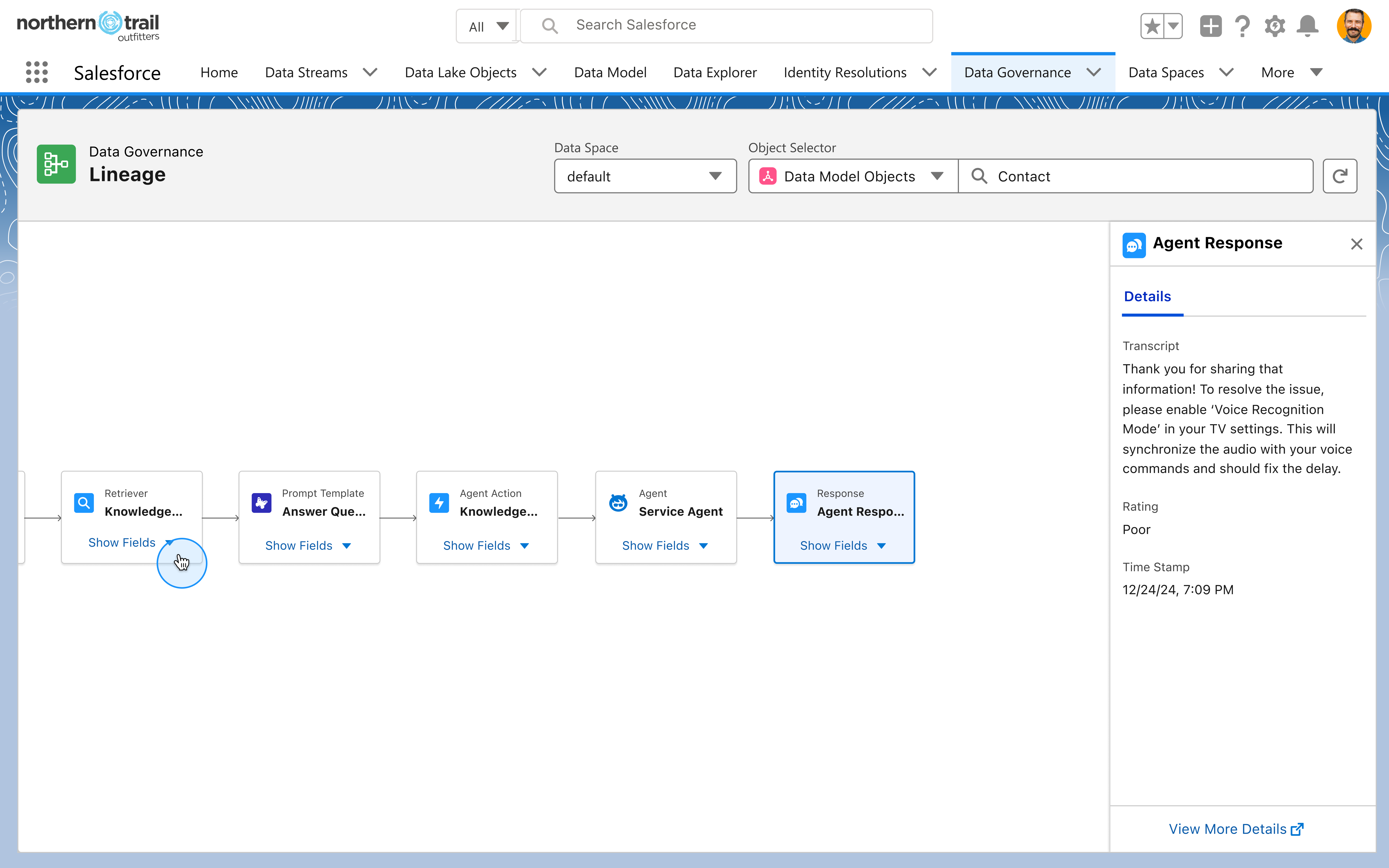 Agent pipeline in lineage graph